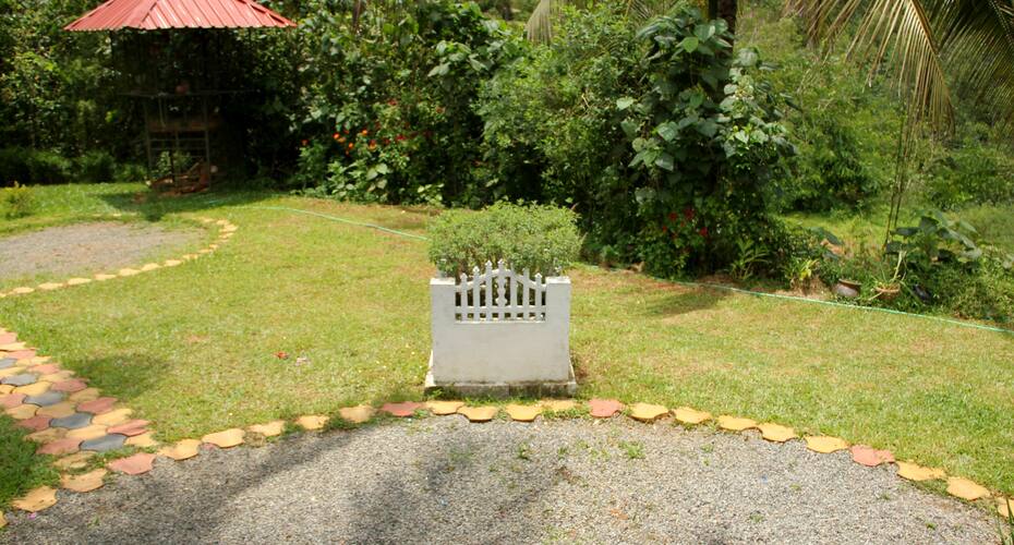 Tea Route Homestay, Wayanad 2